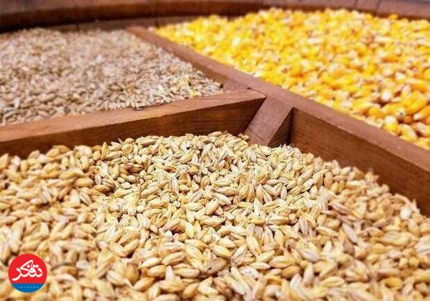 روند تولید محصولات کشاورزی عرضه به بازار بی‌وقفه ادامه دارد