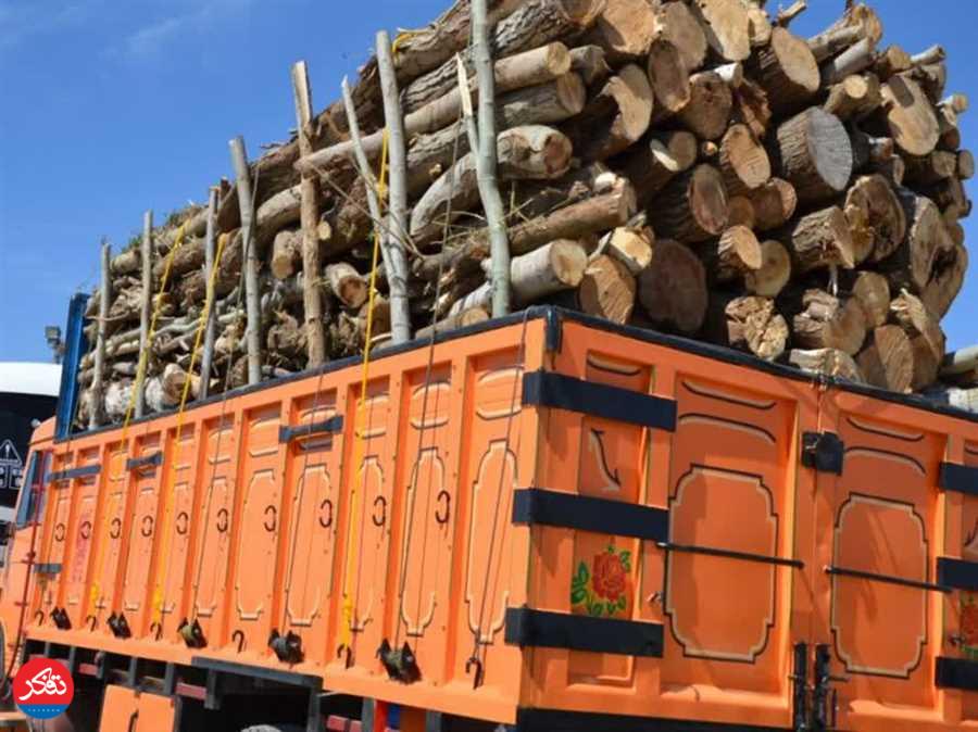 توقیف ۸ تُن چوب قاچاق جنگلی به ارزش دو میلیارد در لفور