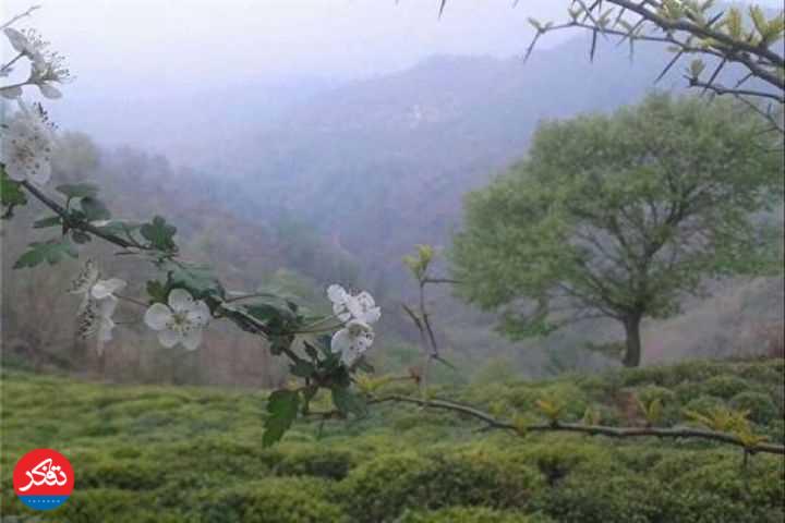 خنکای هوا در راه مازندران