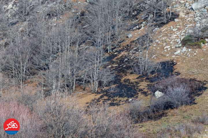 آتش‌سوزی در جنگل‌های مرزن‌آباد مهار شد