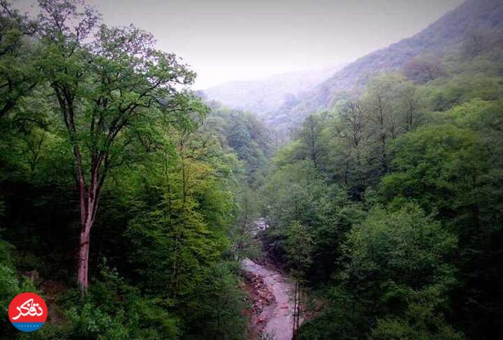 مراقبت از منابع طبیعی، تعطیل‌بردار نیست
