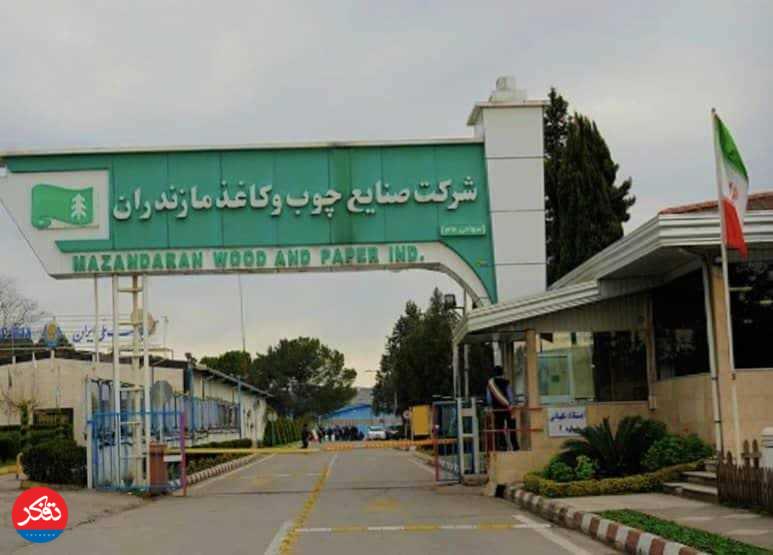 سقوط در سکوت 