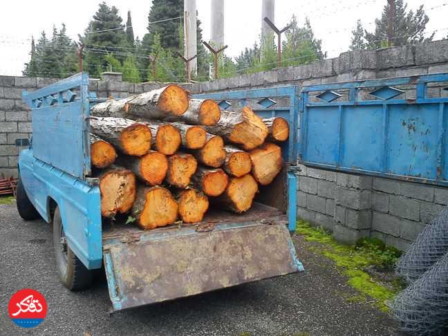 توقيف خودروی قاچاقچيان چوب در منطقه سه‌هزار تنكابن