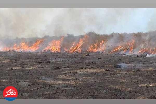 آتش‌سوزی در 8 هکتار از اراضی میانکاله 