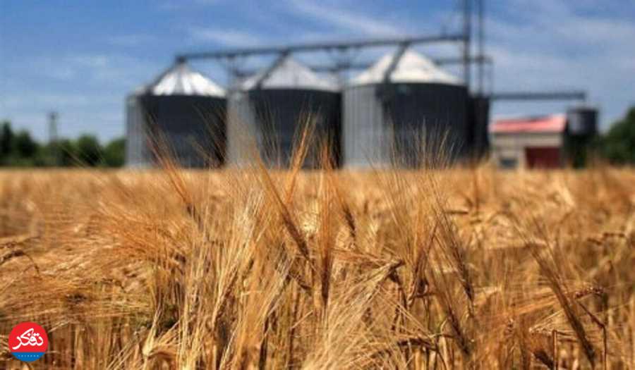 خرید تضمینی گندم؛ پرداخت مطالبات فوری است
