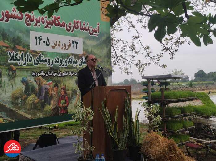 ضرورت محاسبه قیمت برنج براساس هزینه‌های تولید