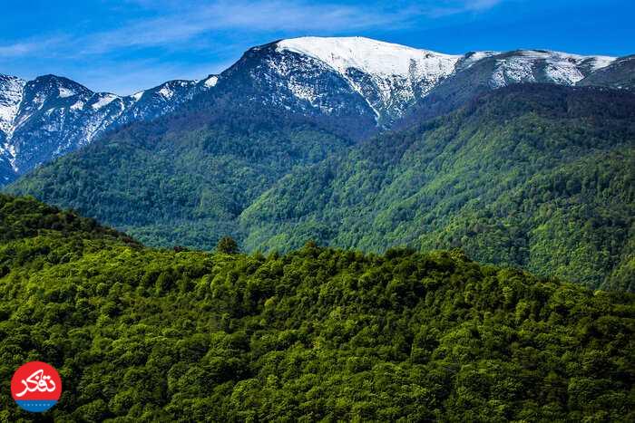 بازپس‌گیری ۴۵ هکتار از اراضی جنگل‌های هیرکانی از متجاوزان