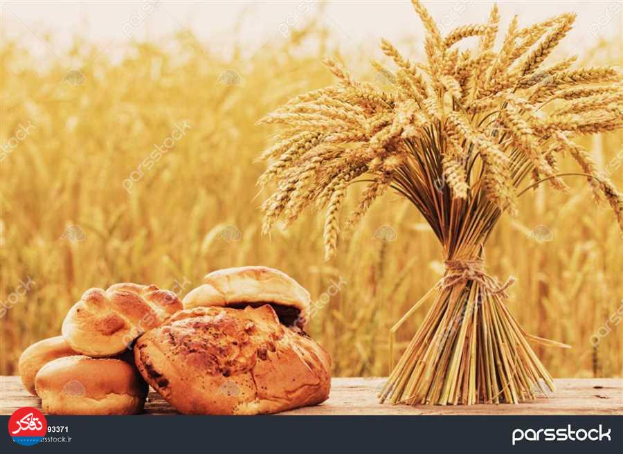 از «گندمِ استراتژیک» تا «نانِ سیاسی»