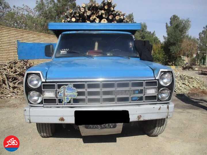 کشف ۳۰ اصله الوار توسکا در چالوس