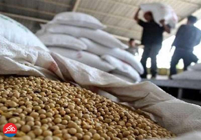 کشف 100 تن سويا فاسد‌شده در ساری 