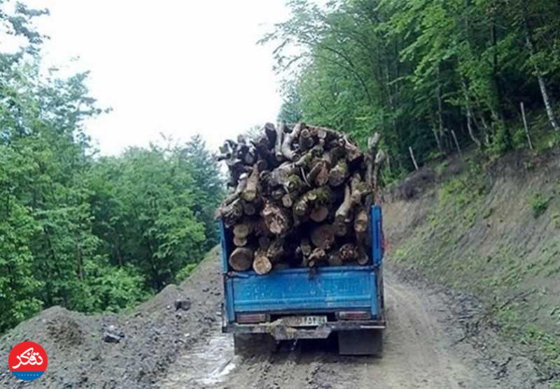 شناسایی و دستگیری قاچاقچیان چوب‌آلات‌ جنگلی در آمل 