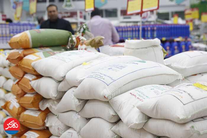  واردات برنج در فصلِ برداشت، ممنوع است