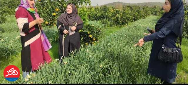 توانمند شدن ۲۴۷ خانوار روستایی با اجرای طرح‌های‌ محرومیت‌زدایی