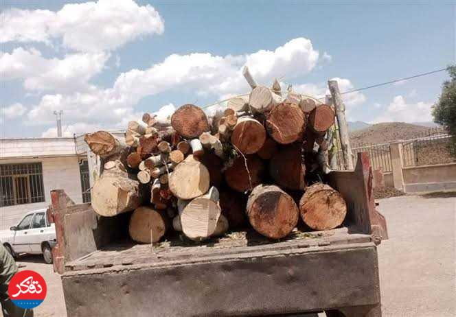 توقیف چند خودروی حامل چوب قاچاق در سه شهر استان