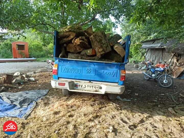 کشف چوب قاچاق و آزادسازی اراضی ملی 