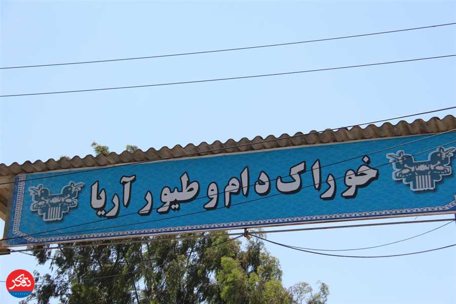 بازدید سرپرست جهاد کشاورزی مازندران از شرکت خوراک دام و طیور آریا