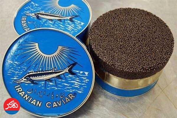 کشف خاویار غیرمجاز در بازار ماهی محمودآباد 