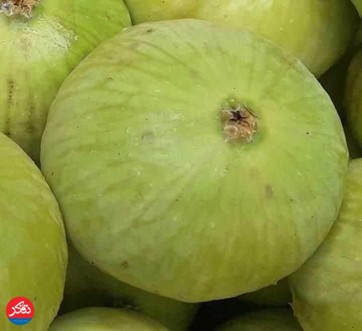 قسم به انجیرِ گلوگاه
